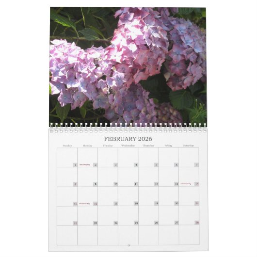 Calendrier Heavenly Hydrangeas (Feb 2026)