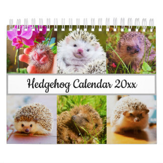 Calendrier Hérisson