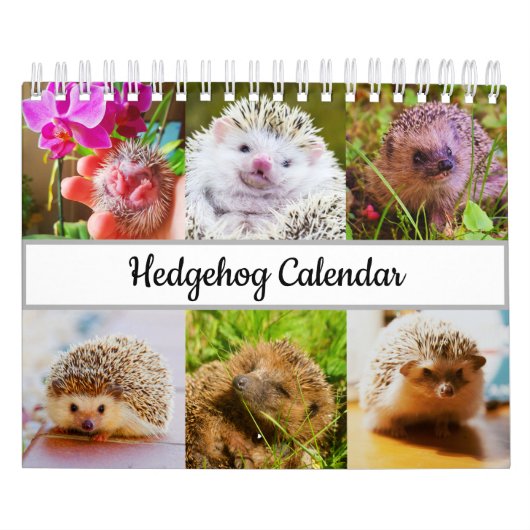 Calendrier Hérisson (Protection)