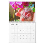 Calendrier Hérisson (Jan 2027)
