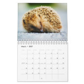 Calendrier Hérisson (Mar 2027)