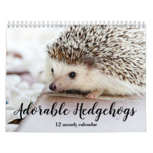 Calendrier Hérisson adorable 2026