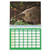 Calendrier Hérissons, Hedgehog (Mar 2026)