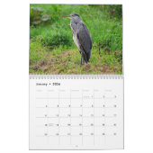 Calendrier Heron Bird 2025 (Jan 2026)