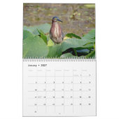Calendrier Hérons et aigrettes 2026 (Jan 2027)