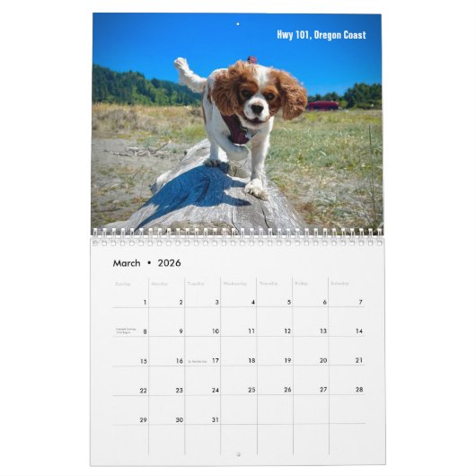 Calendrier Hershey Pup Cavalier King Charles Spaniel Calendri (Mar 2026)