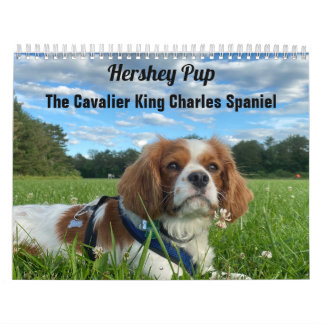 Calendrier Hershey Pup Cavalier King Charles Spaniel Calendri