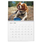 Calendrier Hershey Pup Cavalier King Charles Spaniel Calendri (Mar 2026)