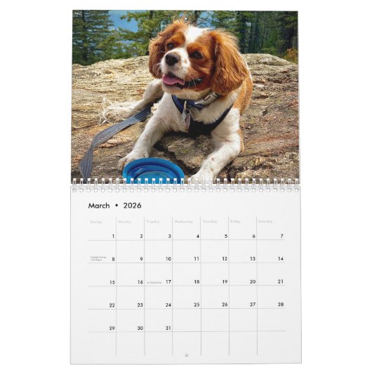 Calendrier Hershey Pup Cavalier King Charles Spaniel Calendri (Mar 2026)