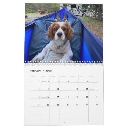 Calendrier Hershey Pup Cavalier King Charles Spaniel Calendri (Feb 2026)