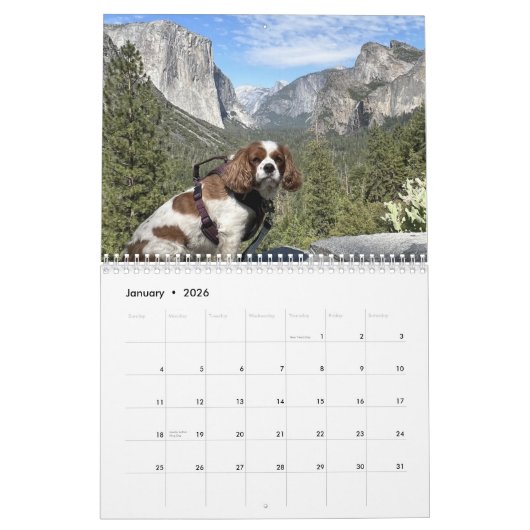 Calendrier Hershey Pup Cavalier King Charles Spaniel Calendri (Jan 2026)