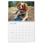 Calendrier Hershey Pup Cavalier King Charles Spaniel Calendri (Mar 2027)