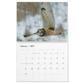 Calendrier Hibou (Feb 2027)