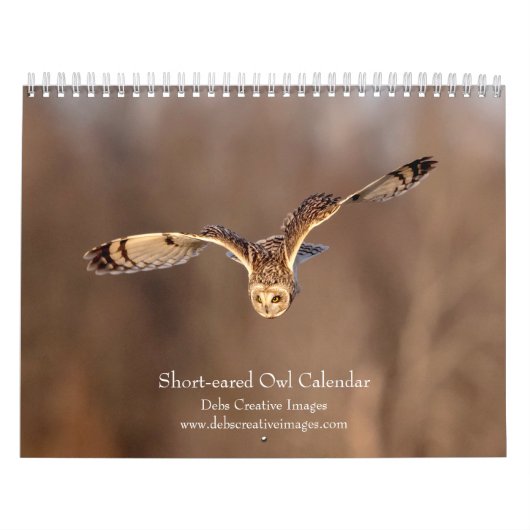 Calendrier Hibou des marais 2026 (Protection)
