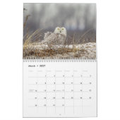 Calendrier Hibou des neiges 2026 (Mar 2027)