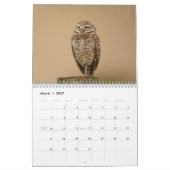 Calendrier Hibou des terriers 2026 (Mar 2027)