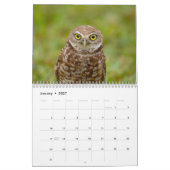 Calendrier Hibou des terriers 2026 (Jan 2027)