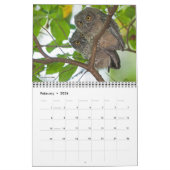 Calendrier Hiboux 2019 (Feb 2026)