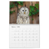 Calendrier Hiboux 2026 (Feb 2026)