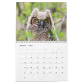 Calendrier Hiboux 2026 (Jan 2027)