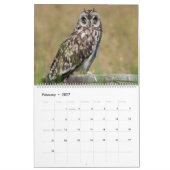 Calendrier Hiboux d'Hawaï (Feb 2027)