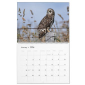 Calendrier Hiboux d'Hawaï (Jan 2026)