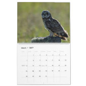 Calendrier Hiboux d'Hawaï (Mar 2027)