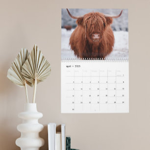 Calendrier Highland Cows Farm Animal Scotland Toute année