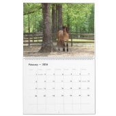 Calendrier Highland Pony 2023 (Feb 2026)