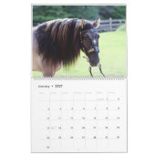 Calendrier Highland Pony 2023 (Jan 2027)