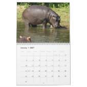 Calendrier Hippopotame naturel (Jan 2027)