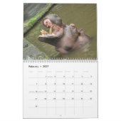 Calendrier Hippopotame naturel (Feb 2027)