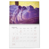 Calendrier Hippopotames de Hutto le Texas ! II (Feb 2027)