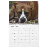 Calendrier hirsute de Shack 2015 (Mar 2026)