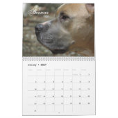 Calendrier hirsute de Shack 2015 (Jan 2027)