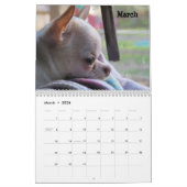 Calendrier hirsute du paquet 2015 de casse-croûte (Mar 2026)