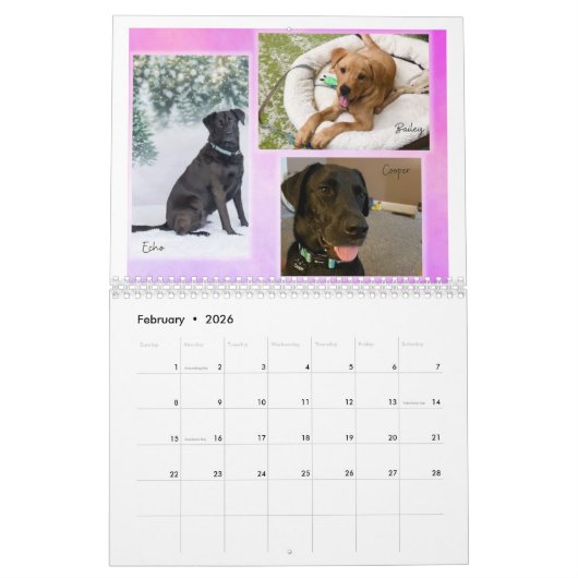 Calendrier HOH 2023 (Feb 2026)