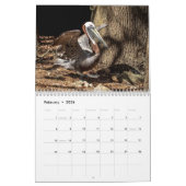 Calendrier Homosassa Springs Wildlife Park 2026 (Feb 2026)