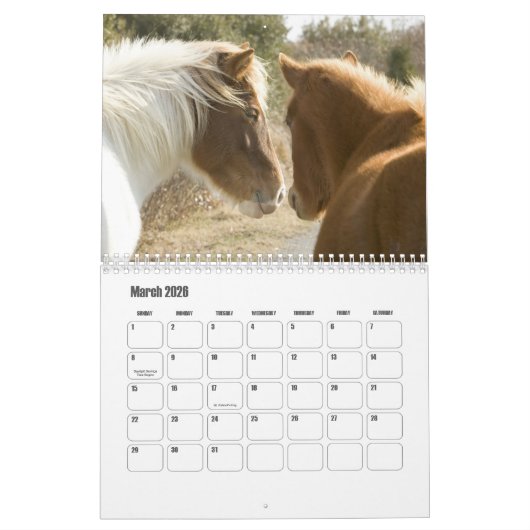 Calendrier Horse Calendar (Mar 2026)