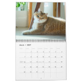 Calendrier Hosico Calendar 2026 (Mar 2027)