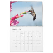 Calendrier Hovering Hummingbirds 2015 (Feb 2027)