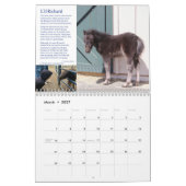 Calendrier HPF 2022 - 8,5 x 11 pouces (Mar 2027)