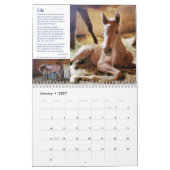 Calendrier HPF 2022 - 8,5 x 11 pouces (Jan 2027)
