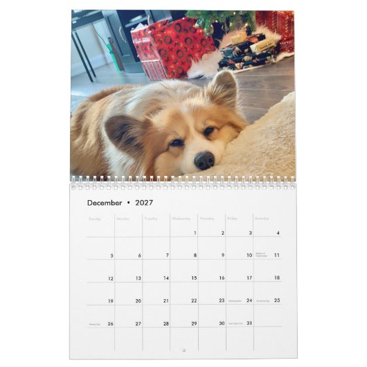 Calendrier Hudson et Fluffy Corgi 2021 (Dec 2027)