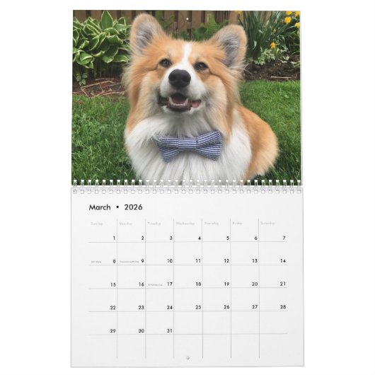Calendrier Hudson et Fluffy Corgi 2021 (Mar 2026)