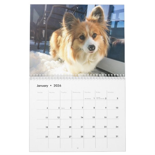 Calendrier Hudson et Fluffy Corgi 2021 (Jan 2026)