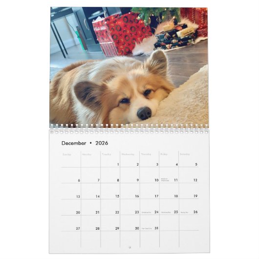 Calendrier Hudson et Fluffy Corgi 2021 (Dec 2026)
