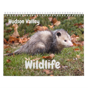 Calendrier Hudson Valley Wildlife