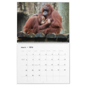 Calendrier Hug animal (Mar 2026)