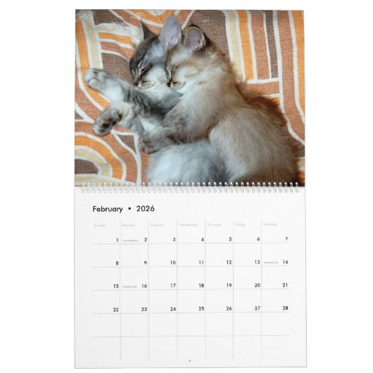 Calendrier Hug animal (Feb 2026)
